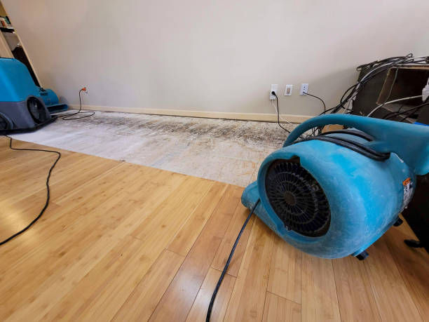 Professional Emergency Water Damage technician working in Lyle, MN